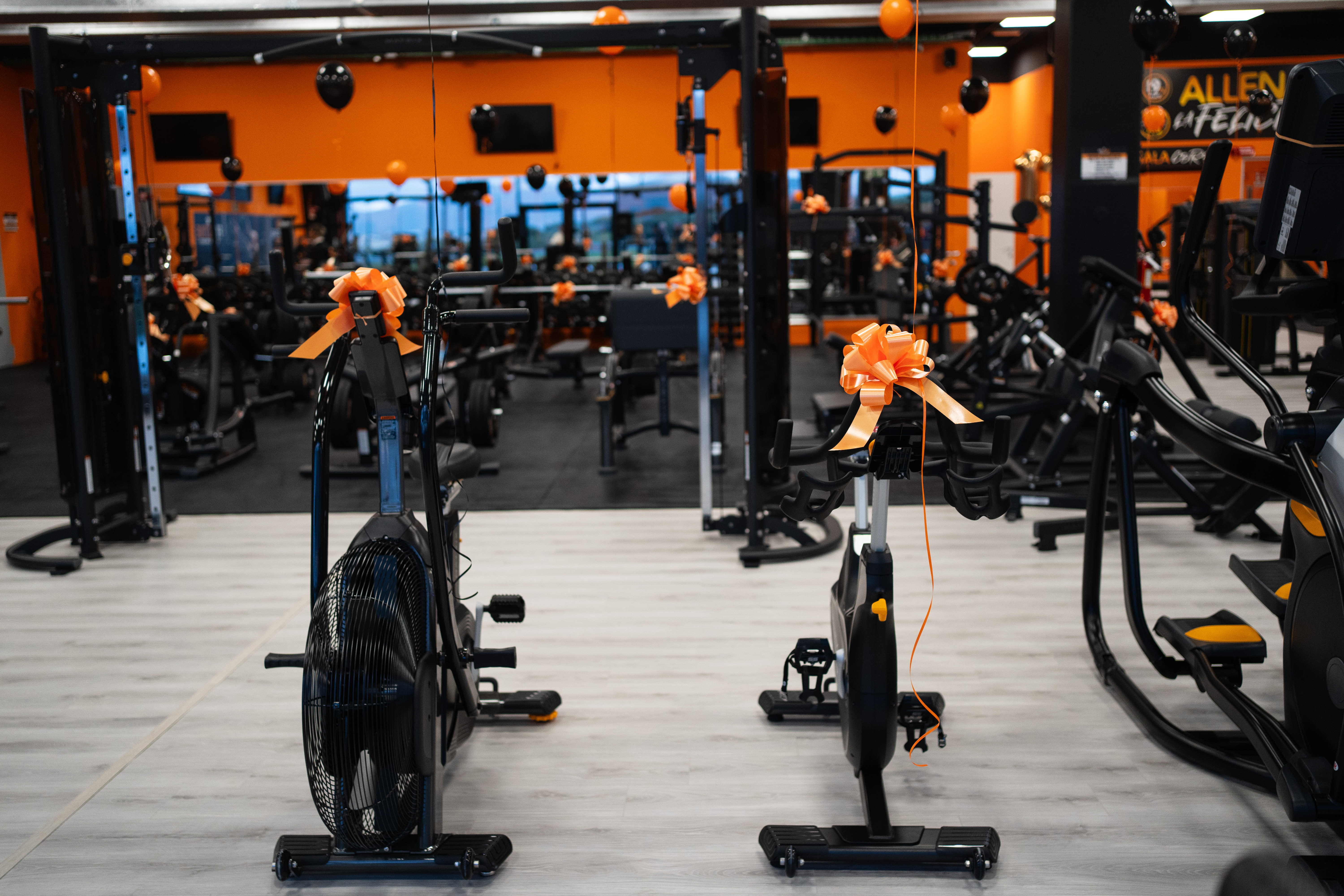 FitActive Olbia