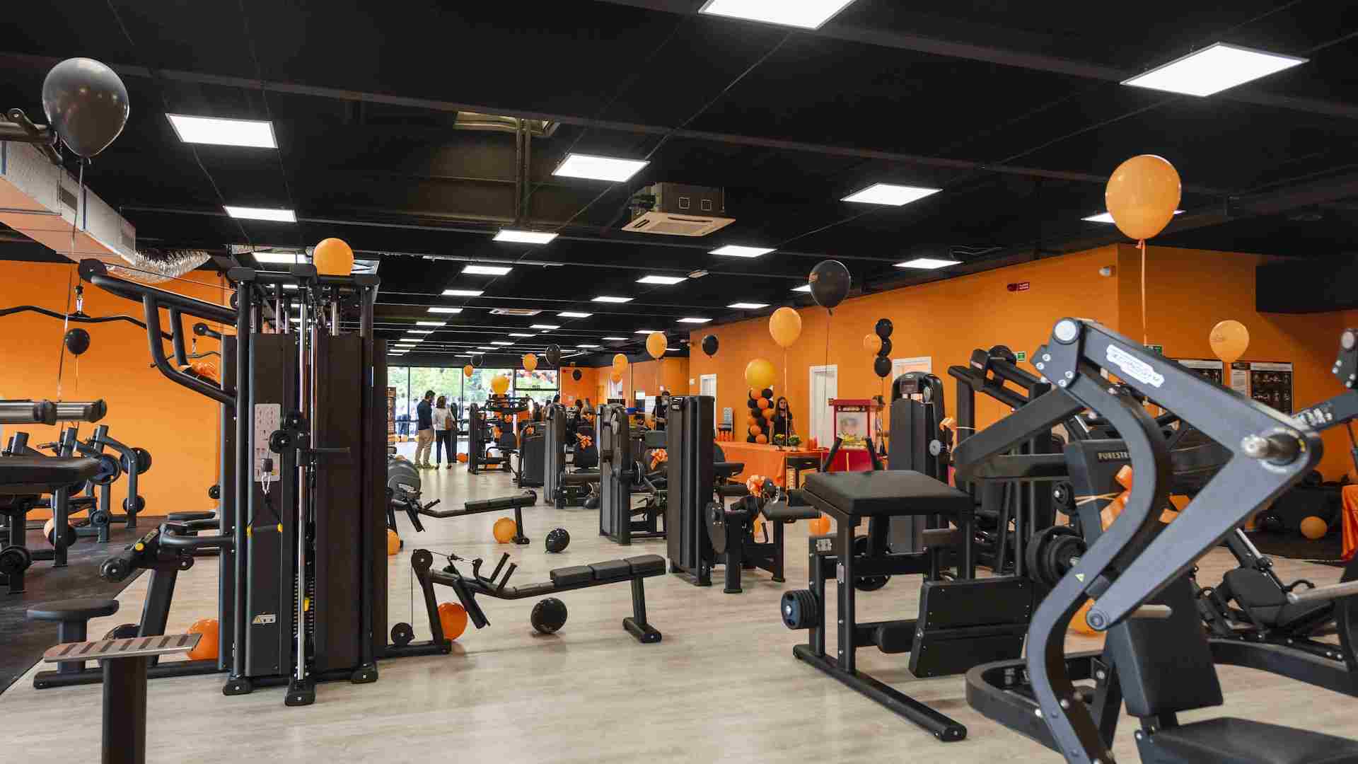 FitActive Vercelli